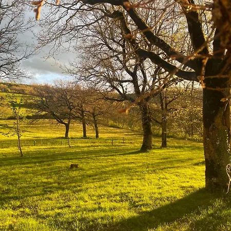 Bed & Breakfast Les De La Serre 3*